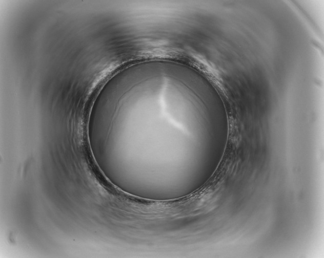 X0000094370012200711021539