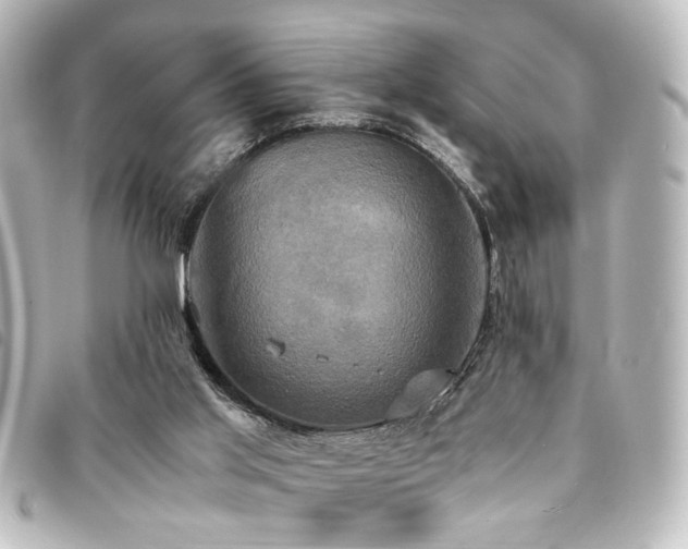 X0000094370013200711021539