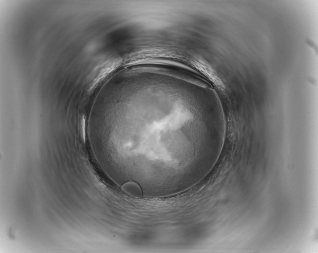 X0000094370014200711021539