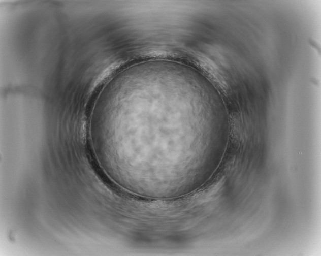 X0000094370016200711021539