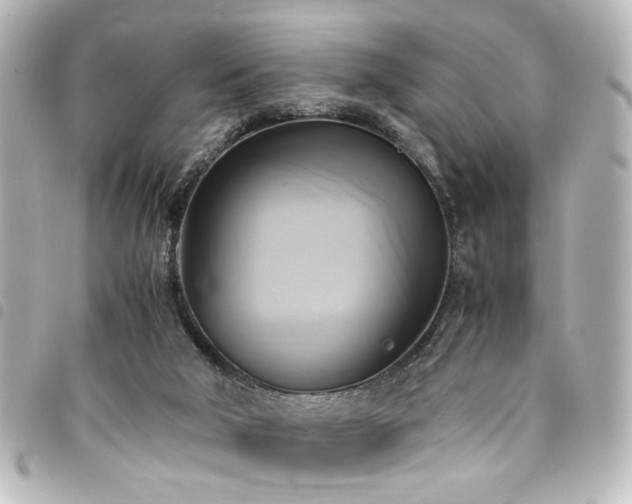 X0000094370018200711021539