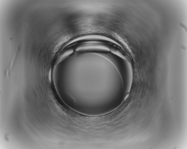 X0000094370019200711021539