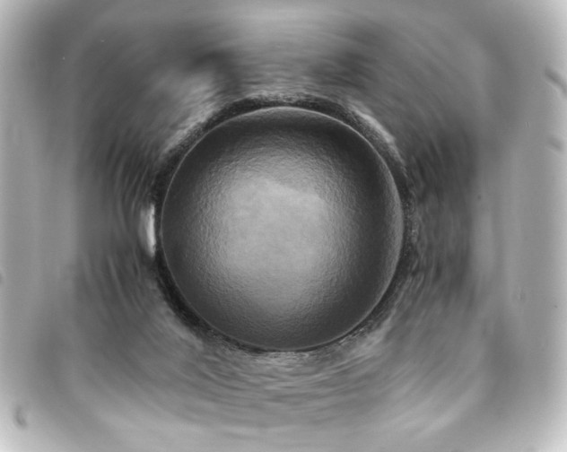 X0000094370020200711021539