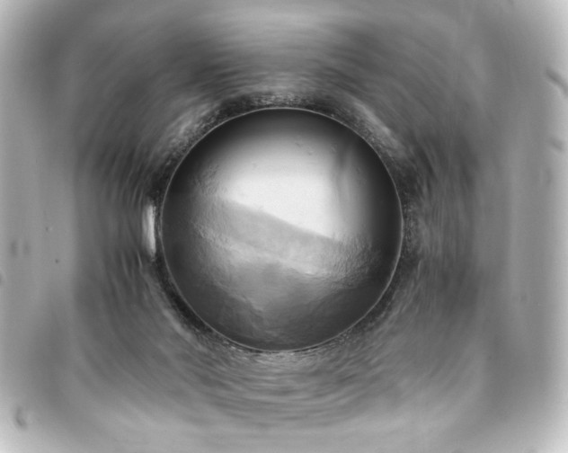 X0000094370022200711021539