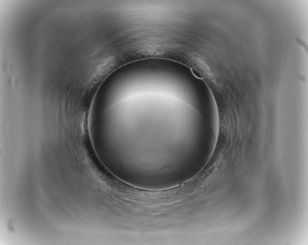 X0000094370023200711021539
