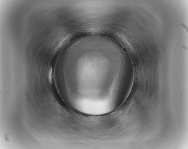 X0000094370024200711021539