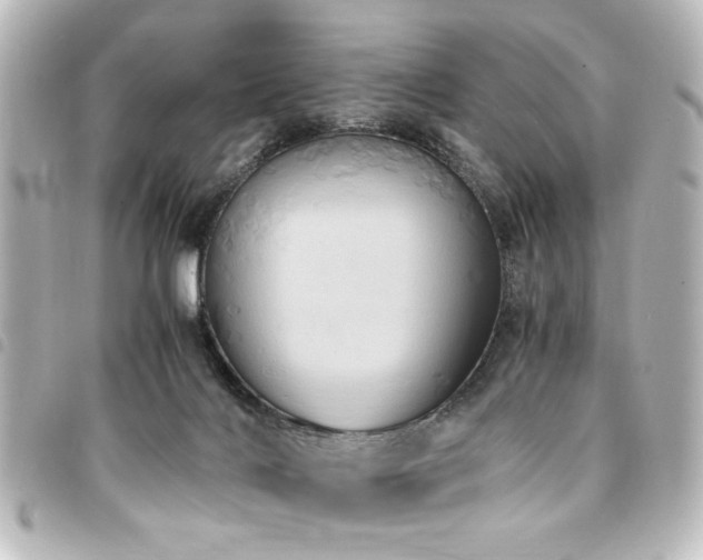 X0000094370028200711021539