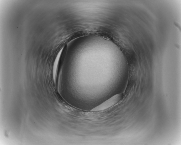 X0000094370033200711021538