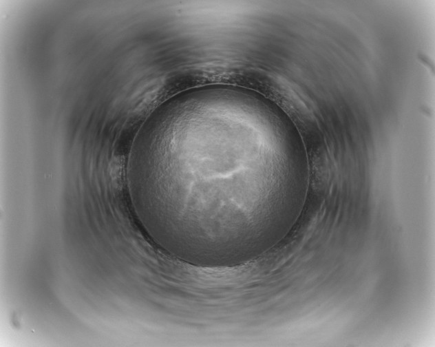 X0000094370034200711021538