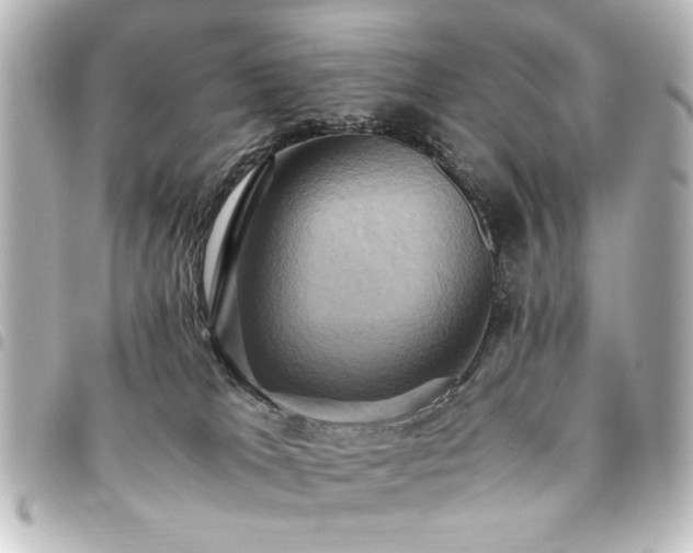 X0000094370037200711021538