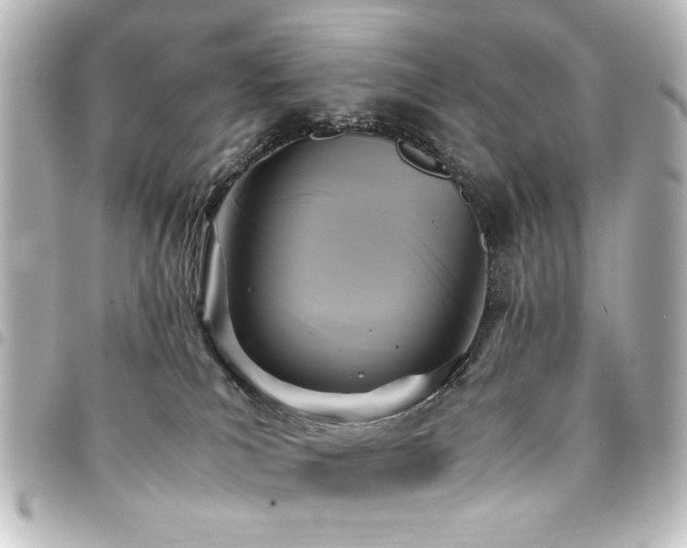 X0000094370039200711021538