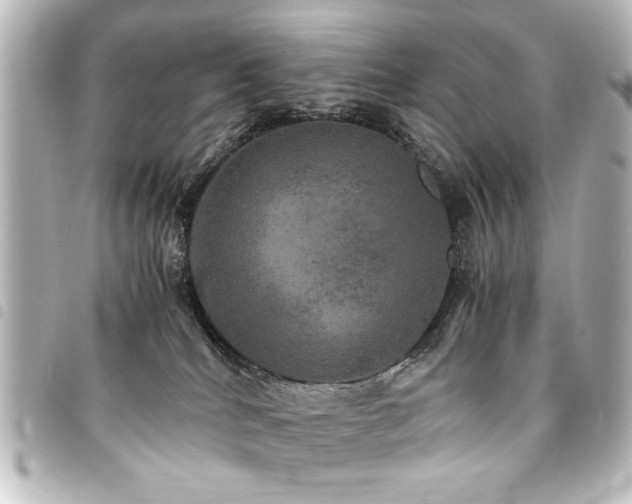 X0000094370040200711021538