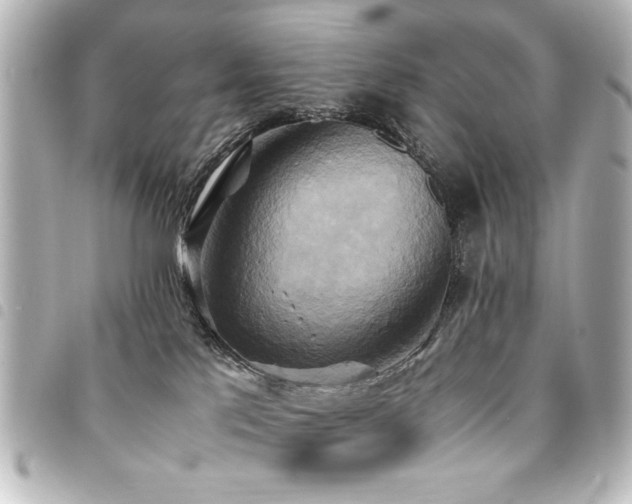 X0000094370041200711021538