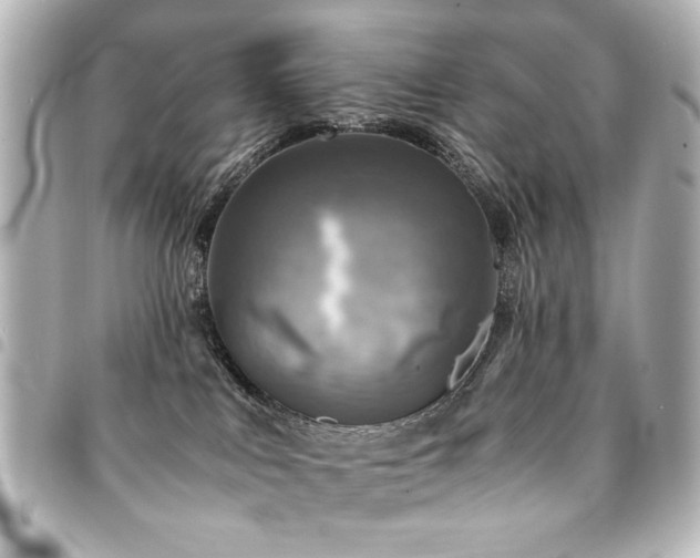 X0000094370043200711021538