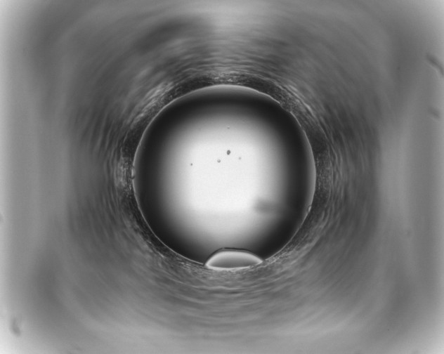 X0000094370044200711021538