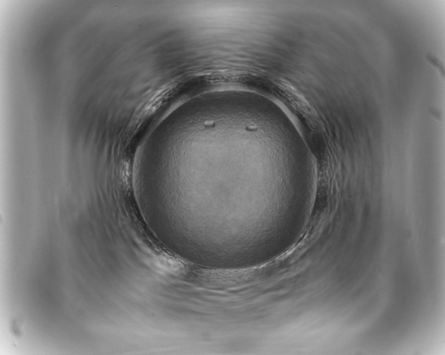 X0000094370045200711021538
