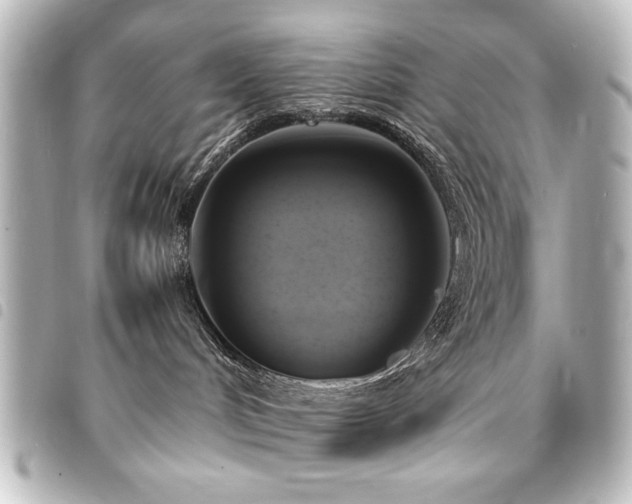 X0000094370048200711021538
