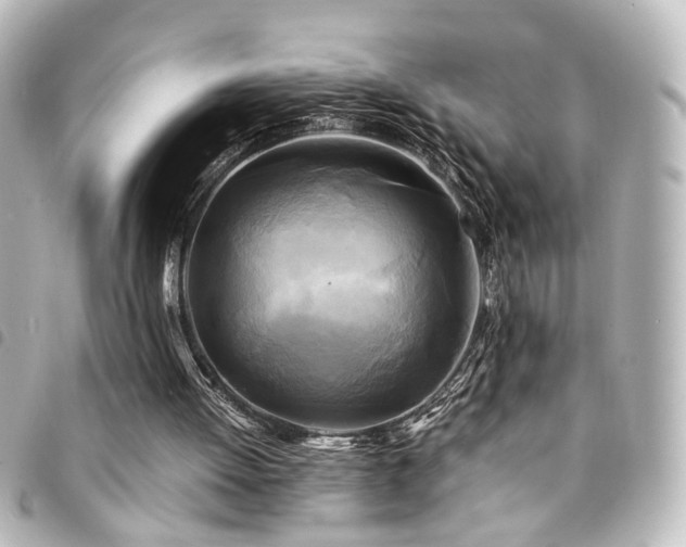 X0000094370052200711021538