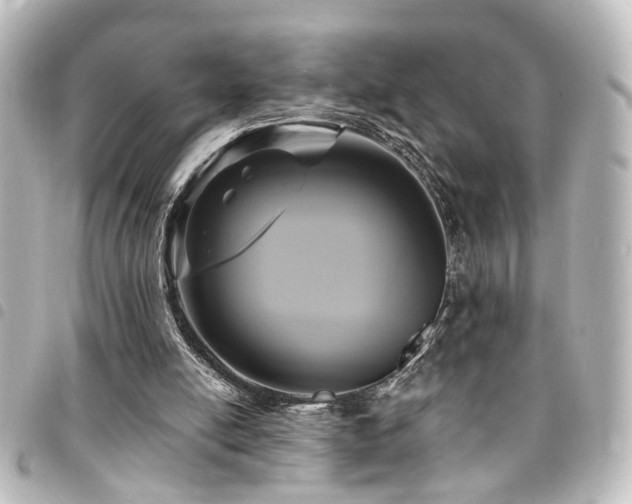 X0000094370054200711021538