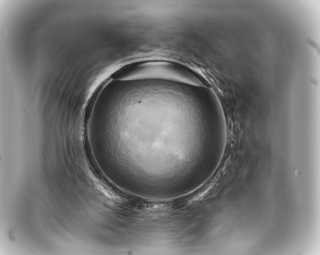 X0000094370056200711021538