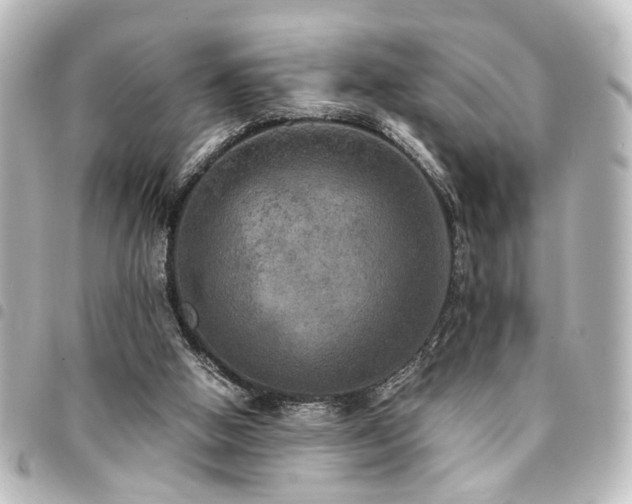 X0000094370058200711021538
