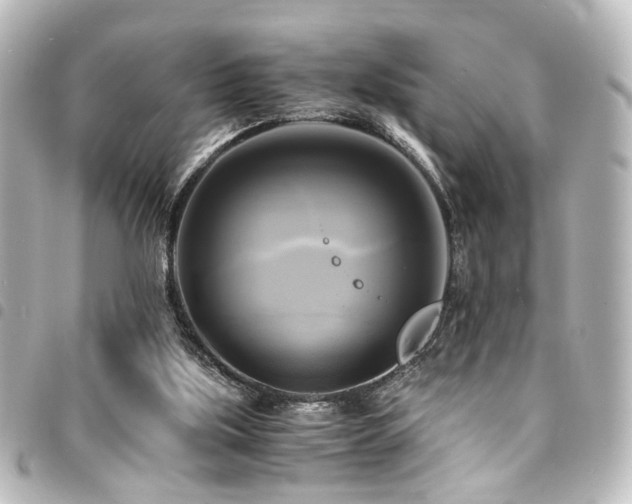X0000094370059200711021538