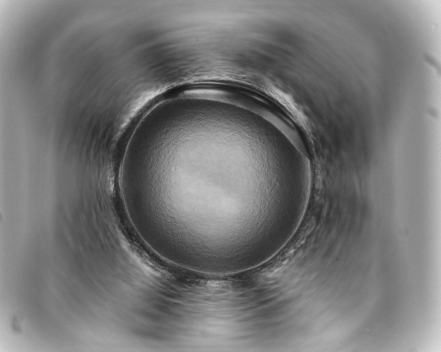 X0000094370060200711021538