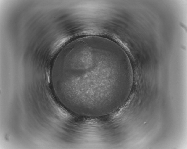 X0000094370062200711021538