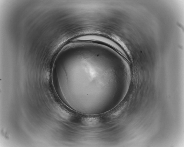 X0000094370063200711021538