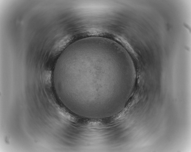 X0000094370066200711021538