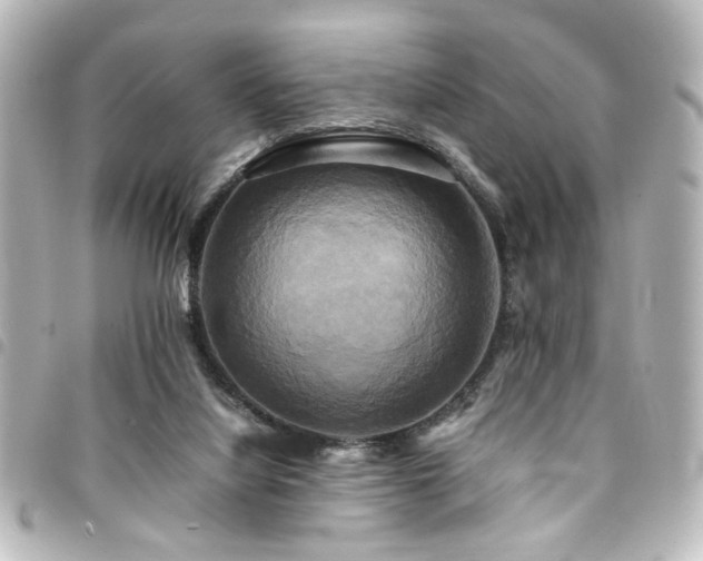 X0000094370068200711021538