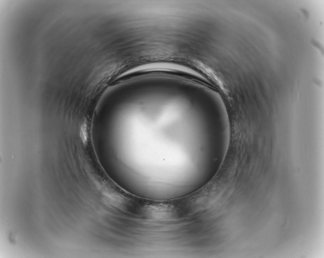 X0000094370069200711021538