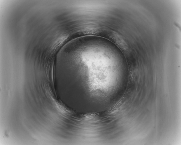 X0000094370070200711021538