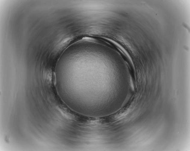 X0000094370072200711021538