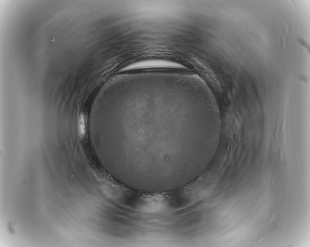 X0000094370075200711021538