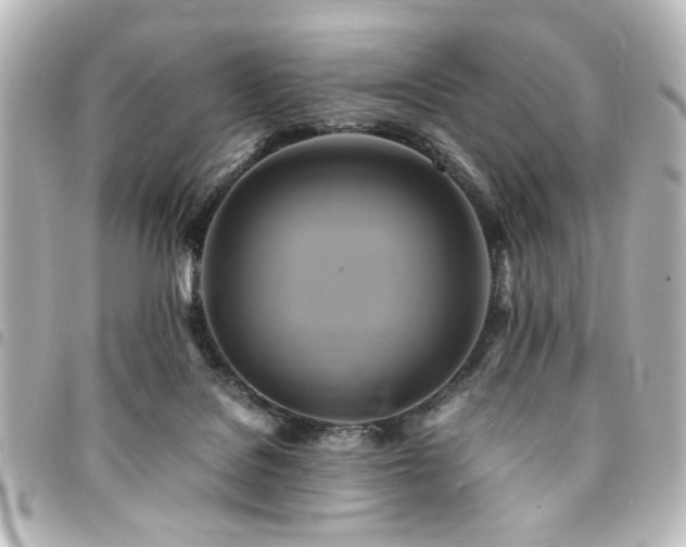 X0000094370076200711021538