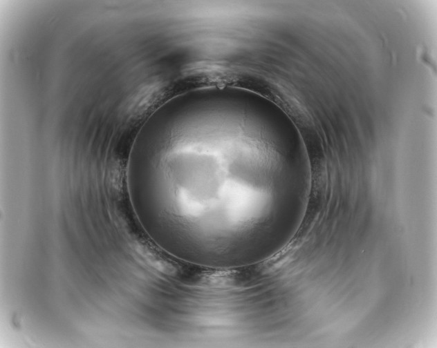 X0000094370078200711021538