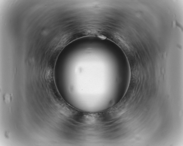 X0000094370079200711021538