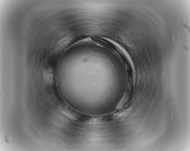 X0000094370080200711021538