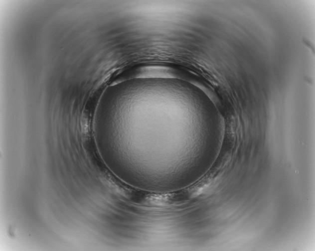 X0000094370084200711021538