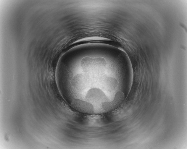 X0000094370085200711021538
