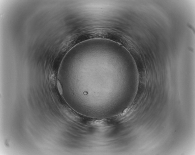 X0000094370086200711021538