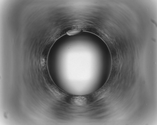 X0000094370087200711021538