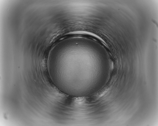 X0000094370088200711021538