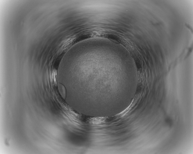 X0000094370094200711021538