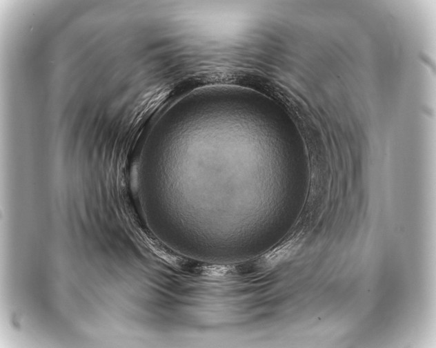 X0000094370096200711021538