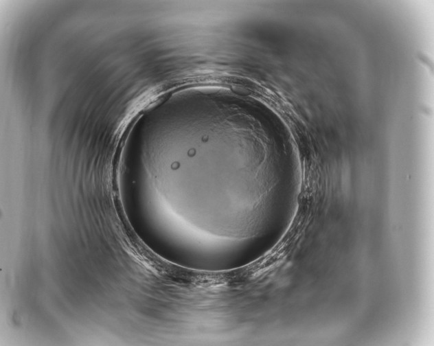 X0000094370099200711021537