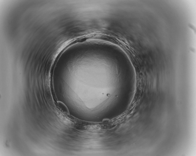 X0000094370100200711021537