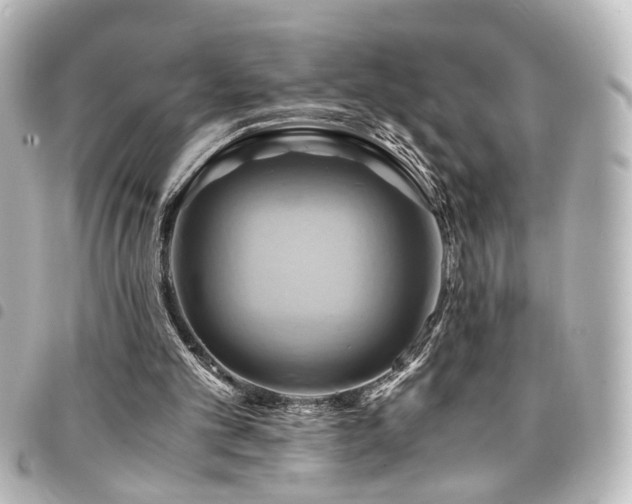 X0000094370101200711021537
