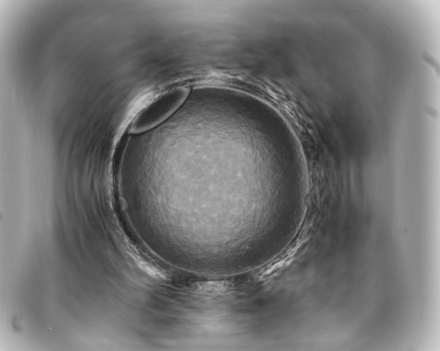 X0000094370102200711021537